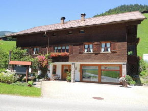 Appartements Karin Mitten im Grünen, Schoppernau, Österreich